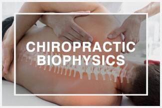 Chiropractic Urbandale IA Spine Box